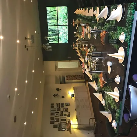 Hotel Mercure Tagungs- &