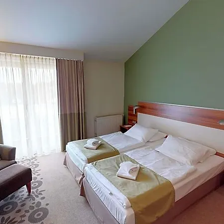 فندق Mercure Tagungs- & 4*